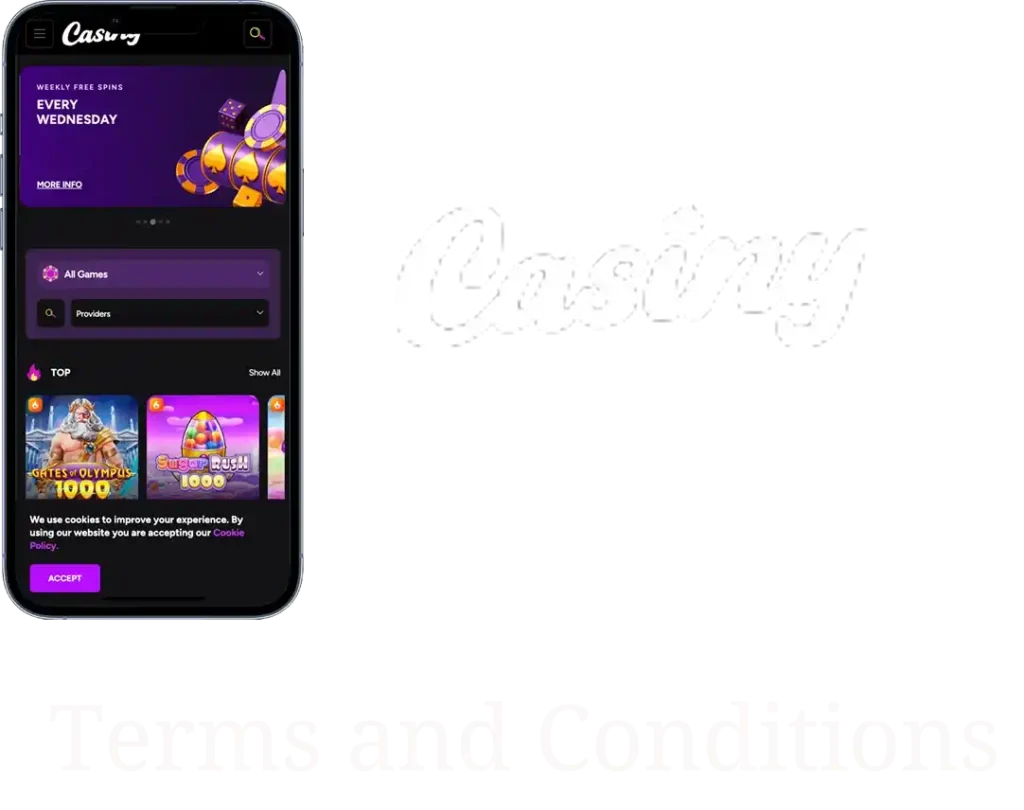 Casiny Terms and Conditions
