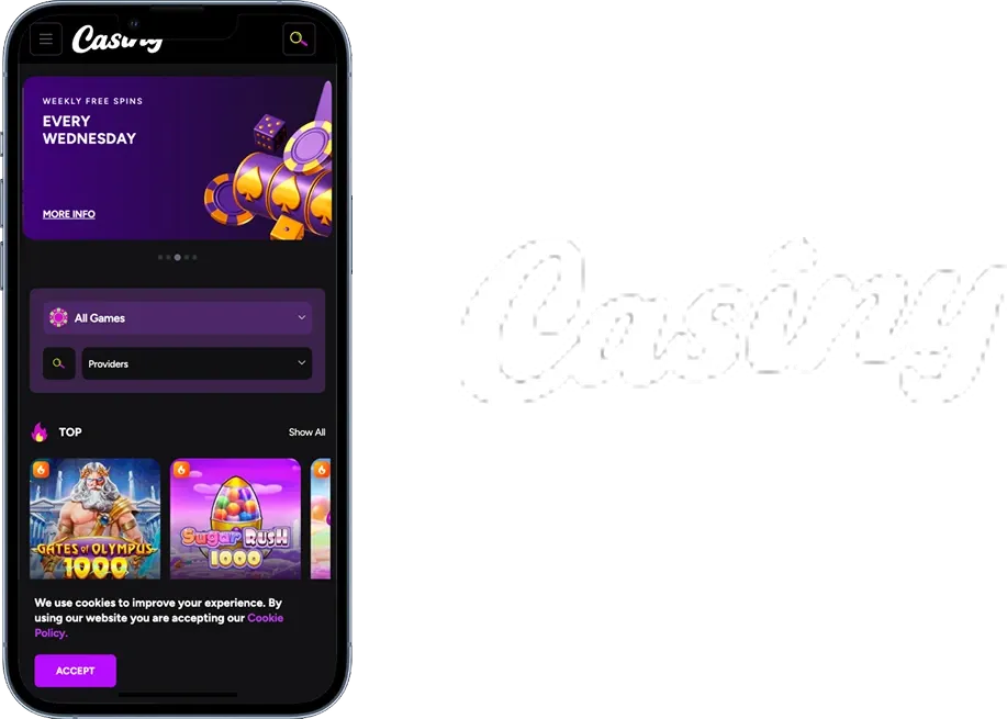 Casiny VIP Program